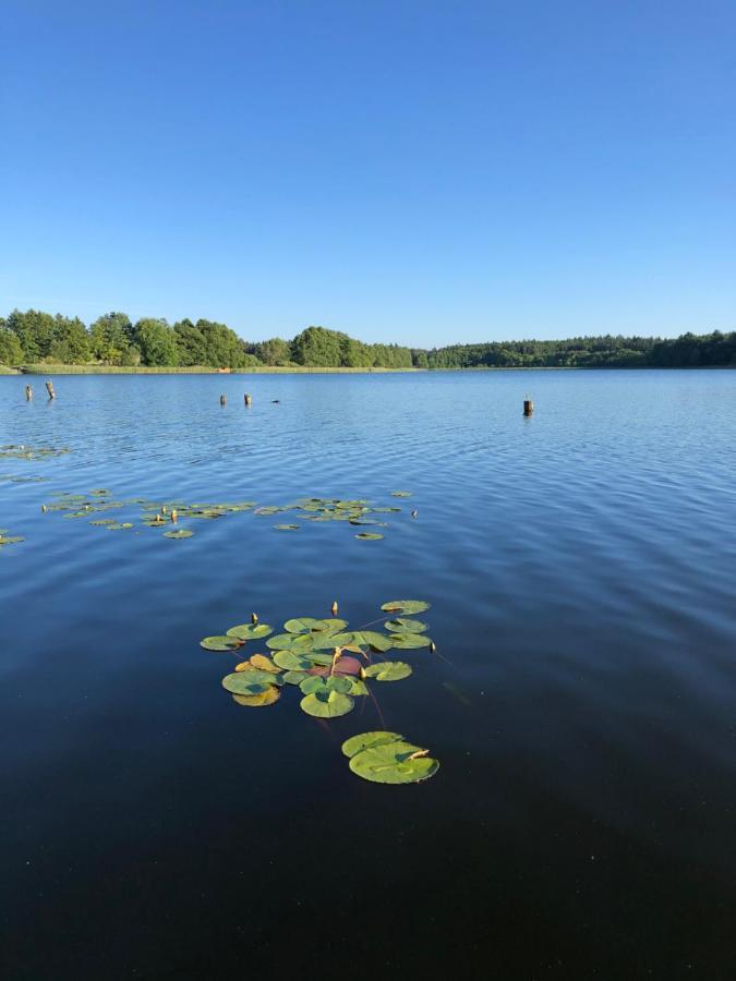 5 Sterne-Ferienhaus Eisvogel Am See Mit Sauna Und Kamin Krakow am See Extérieur photo